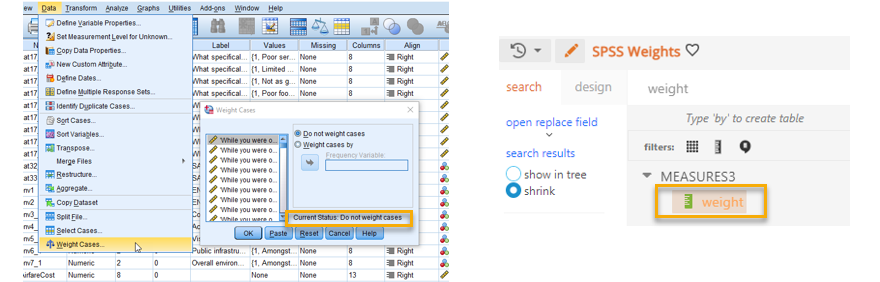 SPSS_WeightasMeasure.png