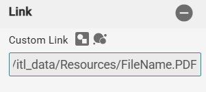 Document-Custom Link.png