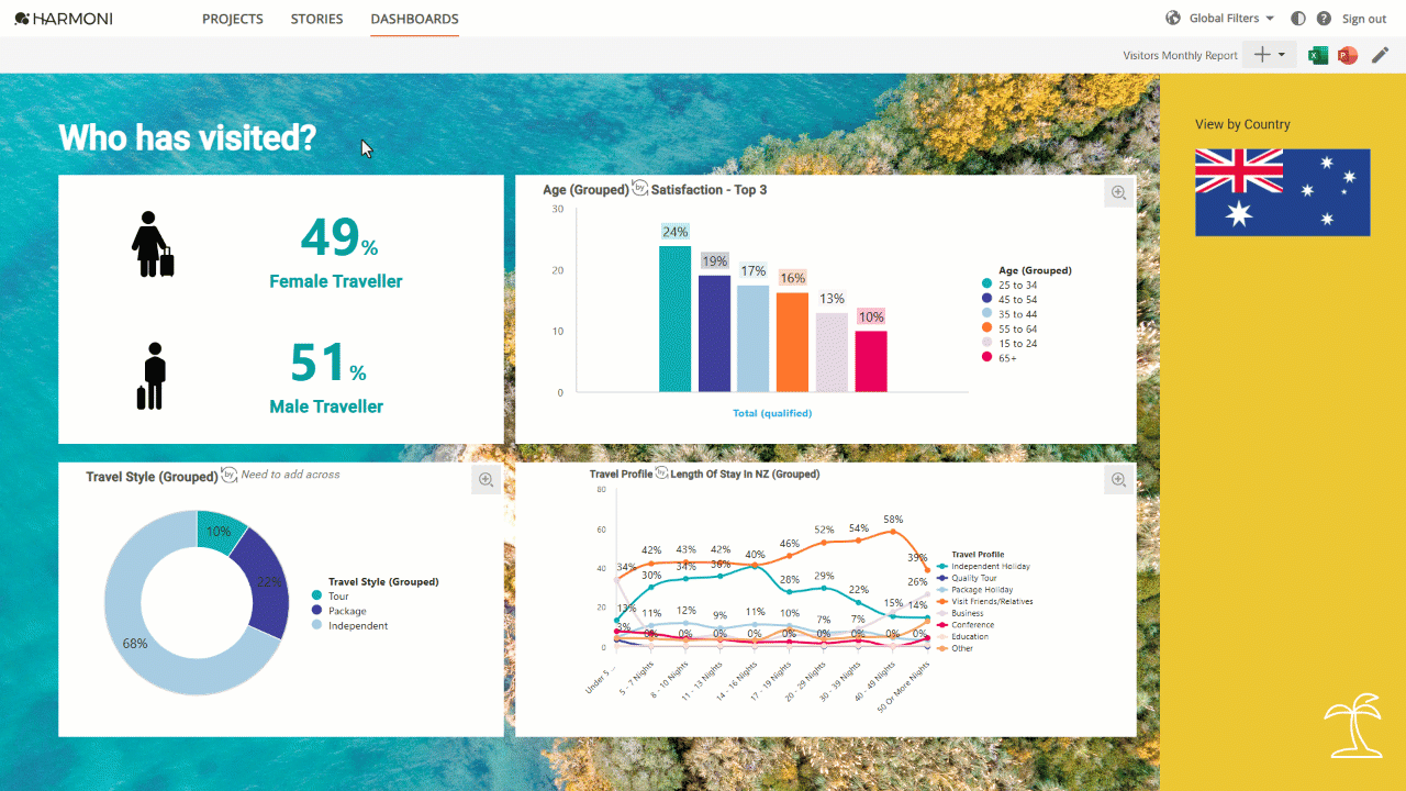 H3_ExportDashboard_excel.gif