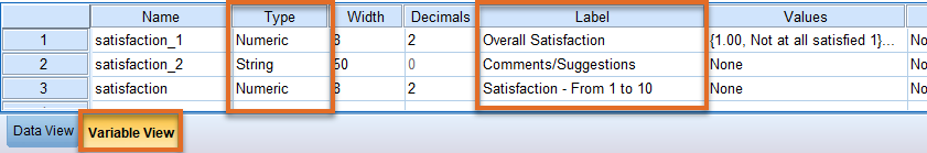 SPSS Variable_Types_Values.png