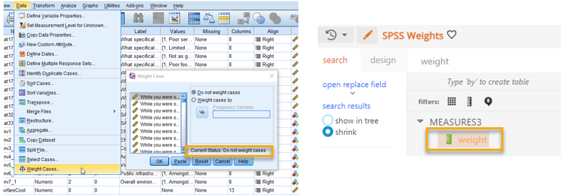SPSS_WeightasMeasure.png
