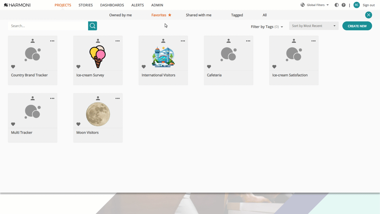 WorkArea-Search.gif
